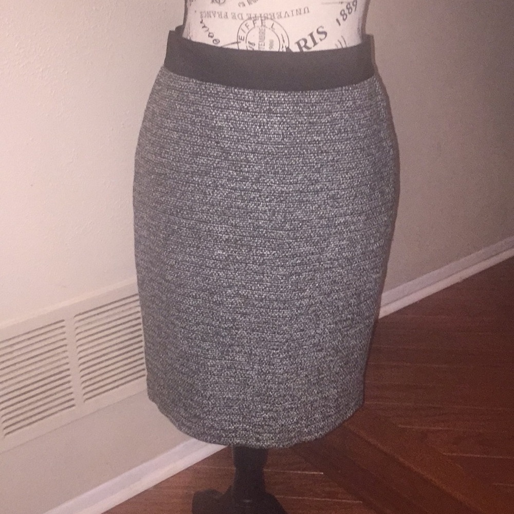Ann Taylor size 2 pencil skirt NWT